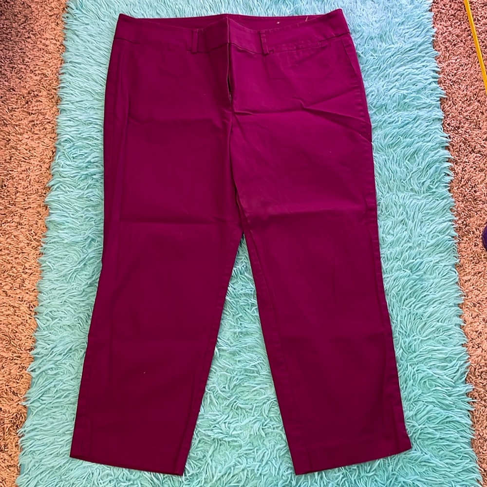 Ann Taylor Signature size 16 pants